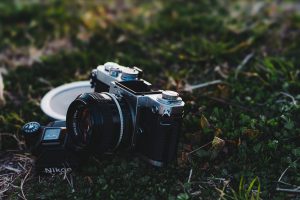 【Lightroom】写真編集用語　トーンカーブ②