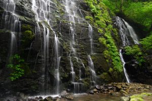 【Lightroom】写真編集用語　ハイライト・シャドーとは①