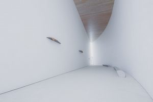 【Lightroom】写真編集用語　ホワイトバランスとは②