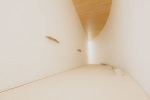 【Lightroom】写真編集用語　ホワイトバランスとは③