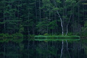 【Lightroom】写真編集用語　コントラストとは？①